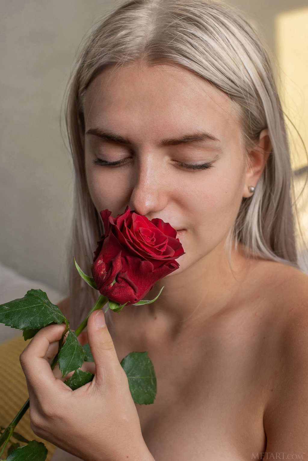 The Rose 04