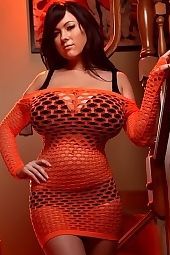 Rachel Fishnet Dress